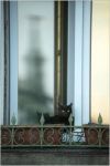 G�ti Gy�rgy G�tiFot� - ChatNoir