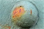 G�ti Gy�rgy G�tiFot� - RozsdasSzog