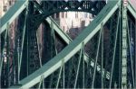 G�ti Gy�rgy G�tiFot� - TheX