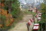 G�ti Gy�rgy G�tiFot� - TurulPadok