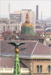 G�ti Gy�rgy G�tiFot� - TurulVsBird