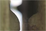 G�ti Gy�rgy G�tiFot� - ZoldFekete