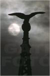 G�ti Gy�rgy G�tiFot� - ZZTurulLeftSun