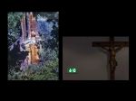 G�ti Gy�rgy G�tiFot� - Feszulet Feszulet