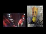 G�ti Gy�rgy G�tiFot� - Tortenetek Viragokkal