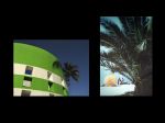 G�ti Gy�rgy G�tiFot� - Palmafa Palmafa