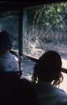 G�ti Gy�rgy G�tiFot� - GATI Buswindow Jerusalem