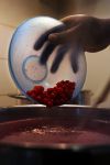 G�ti Gy�rgy G�tiFot� - 04 GATI Esperance wth Berries GG2 6056 555h