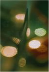 G�ti Gy�rgy G�tiFot� - PPuntoLightsS