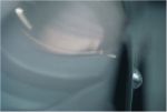 G�ti Gy�rgy G�tiFot� - LIndex166s
