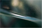G�ti Gy�rgy G�tiFot� - LLinePuntoS