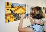 G�ti Gy�rgy G�tiFot� - DSC 0017