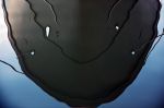 G�ti Gy�rgy G�tiFot� - 031 GATI Manta Ray GG3 7304