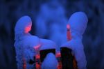 G�ti Gy�rgy G�tiFot� - aa5 GATI Snow Couple GG2 8227 777pix W