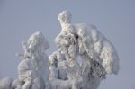 G�ti Gy�rgy G�tiFot� - aa3 13 GATI Snow Angel GG2 8849 777pix W