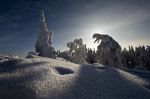 G�ti Gy�rgy G�tiFot� - aa4 GATI Reverence Koli GG2 8767 777pix W