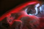 G�ti Gy�rgy G�tiFot� - 0b GATI Red Snow Skull GG2 3846 777pix W