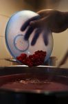 G�ti Gy�rgy G�tiFot� - GATI Esperance with Berries