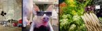 G�ti Gy�rgy G�tiFot� - kapa 6
